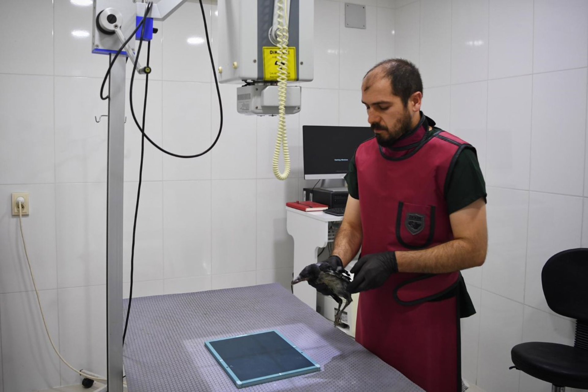 Haber fotoğrafı 2