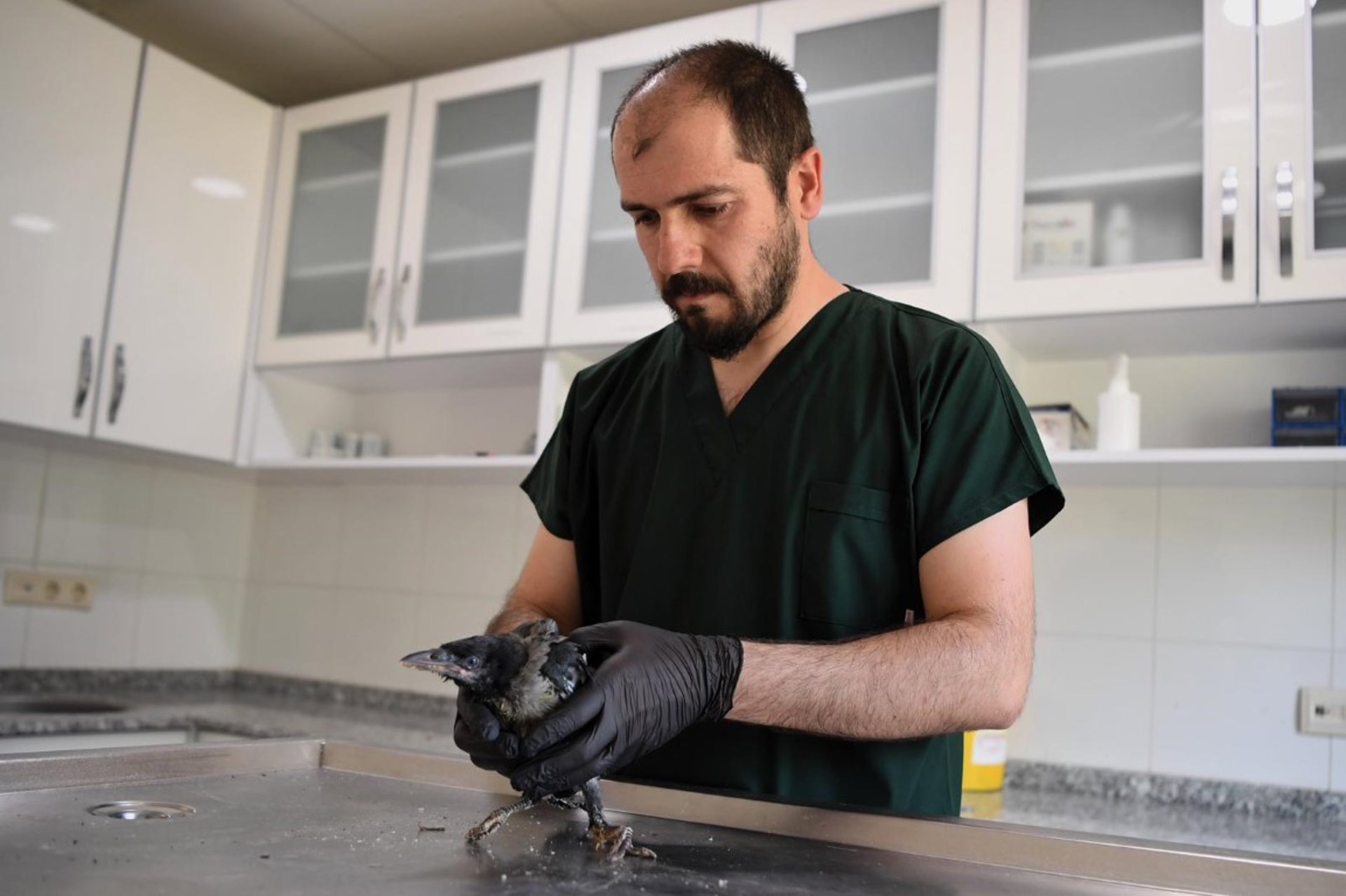 Haber fotoğrafı 7