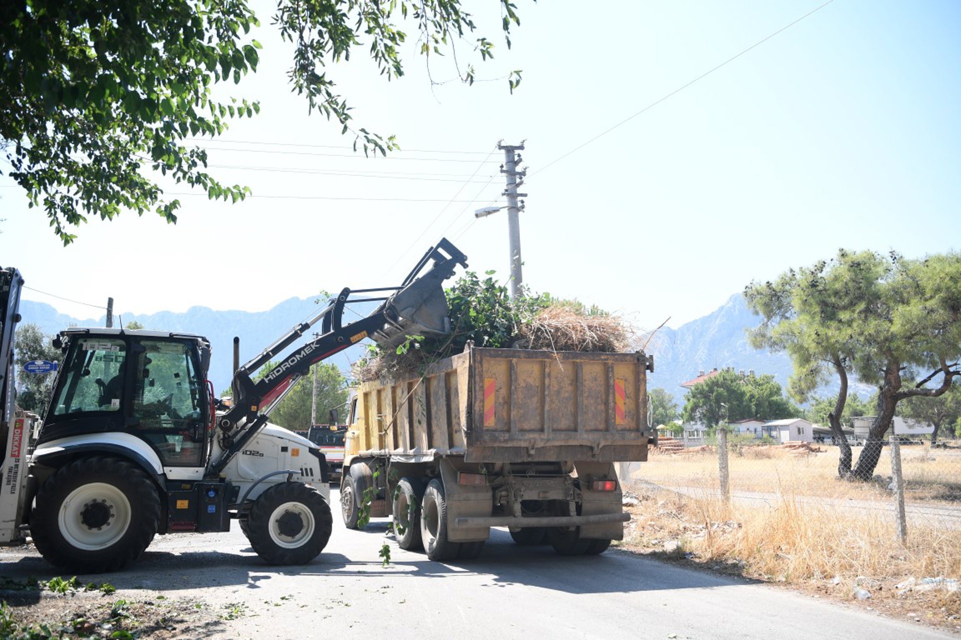 Haber fotoğrafı 3
