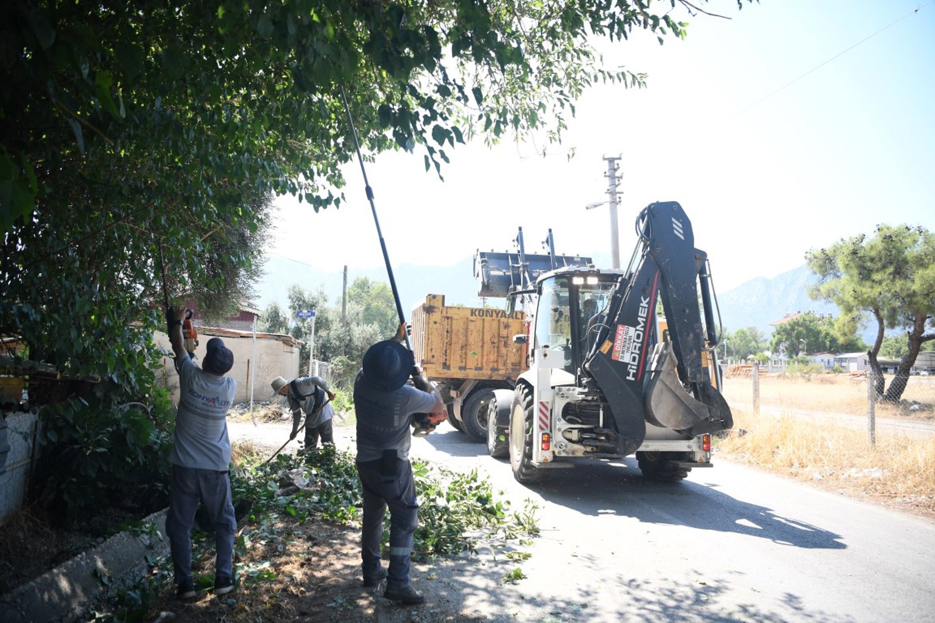 Haber fotoğrafı 6